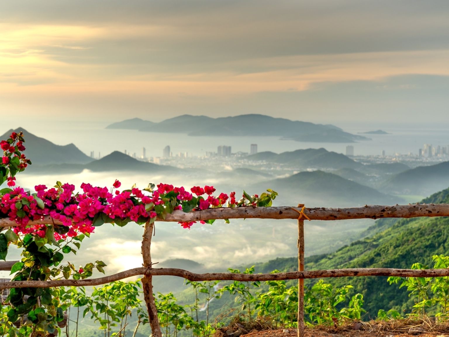 Rosa bougainvillea på ett staket med utsikt över en dimmig bergsdal, en stad och en avlägsen vik vid soluppgången. Nha Trang, Vietnam