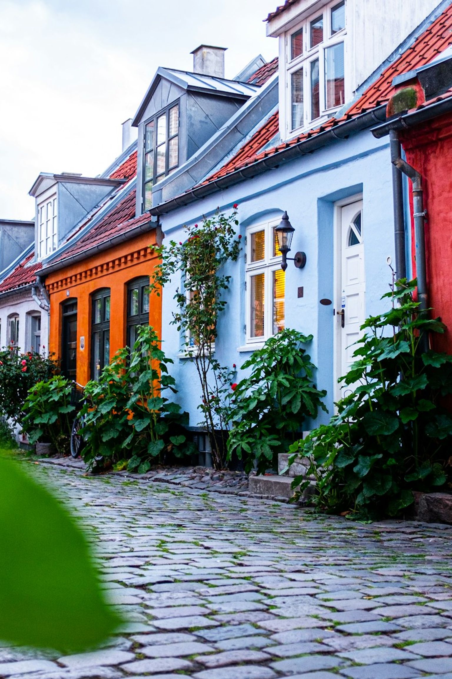 en rad av färgglada hus på en kullerstensgata med en cykel parkerad framför ett av husen