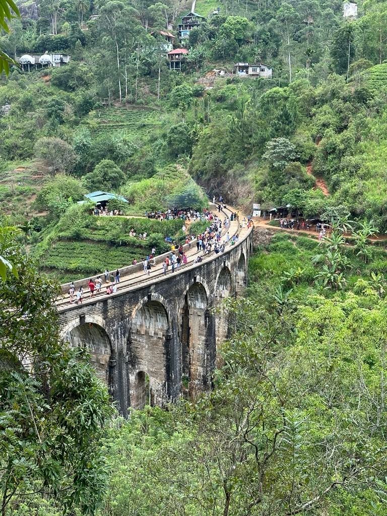eine Gruppe von Menschen geht über eine Brücke mitten in einem Wald