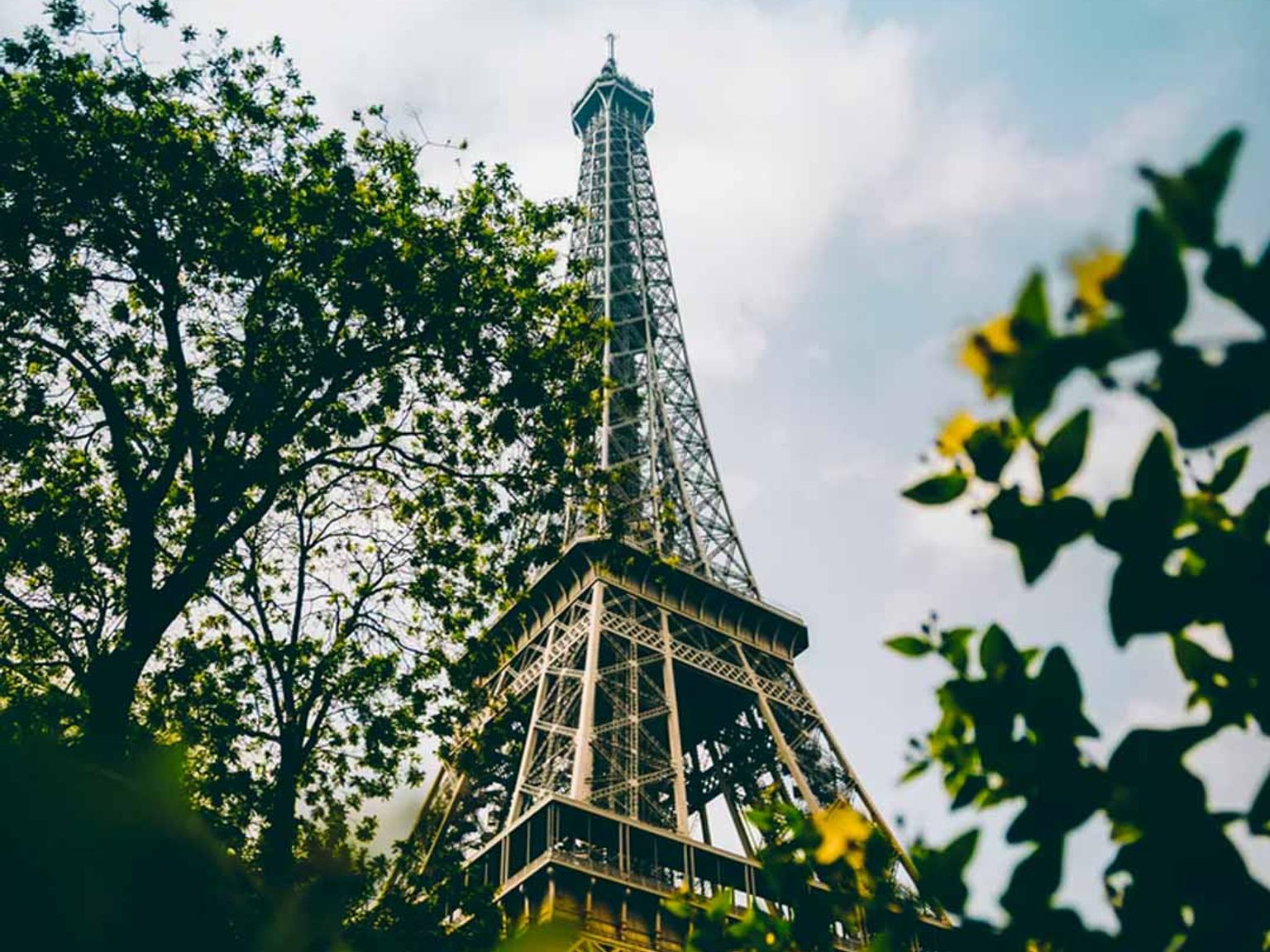 eiffeltornet är omgivet av träd och blommor i paris.
