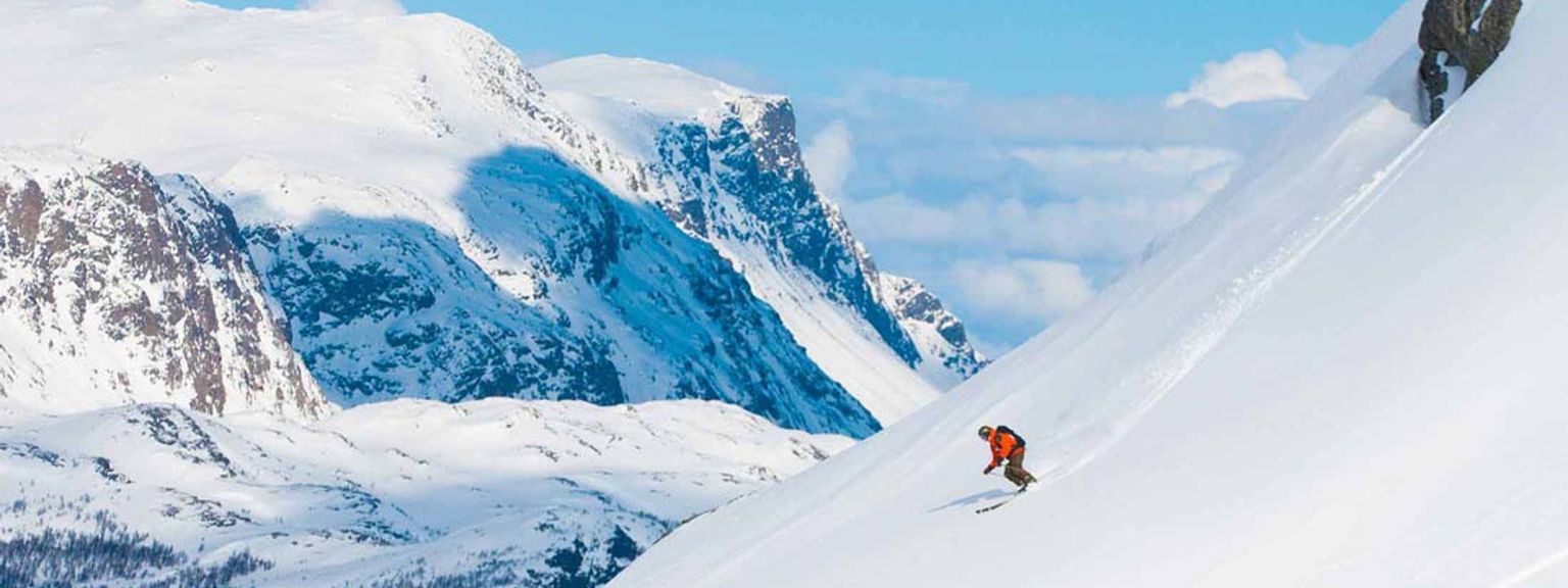 en person står på ski ned ad et sneklædt bjerg