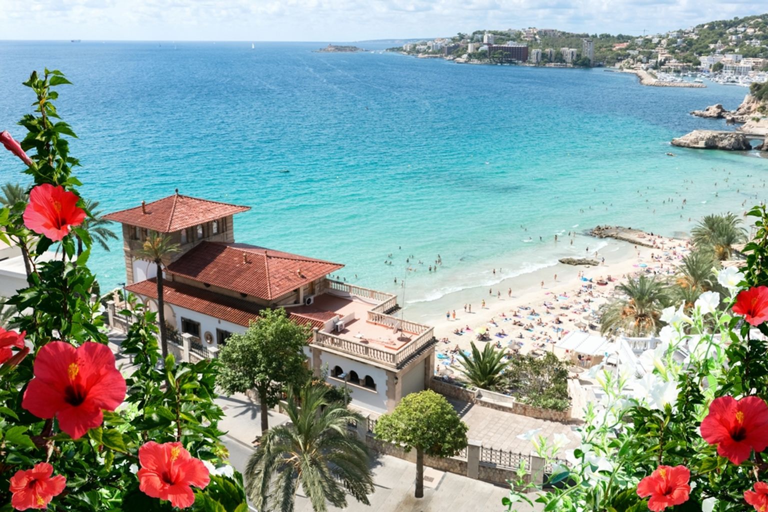 En livlig tropisk strandscene med turkis vann, mange mennesker og bygninger, innrammet av røde hibiskusblomster i forgrunnen. Palma de Mallorca, Spania