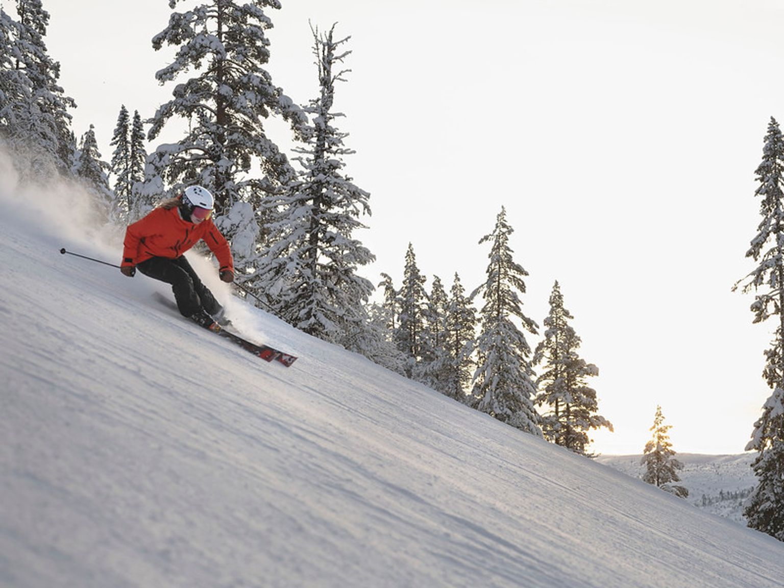 en person står på ski ned ad en snedækket skråning med træer i baggrunden.