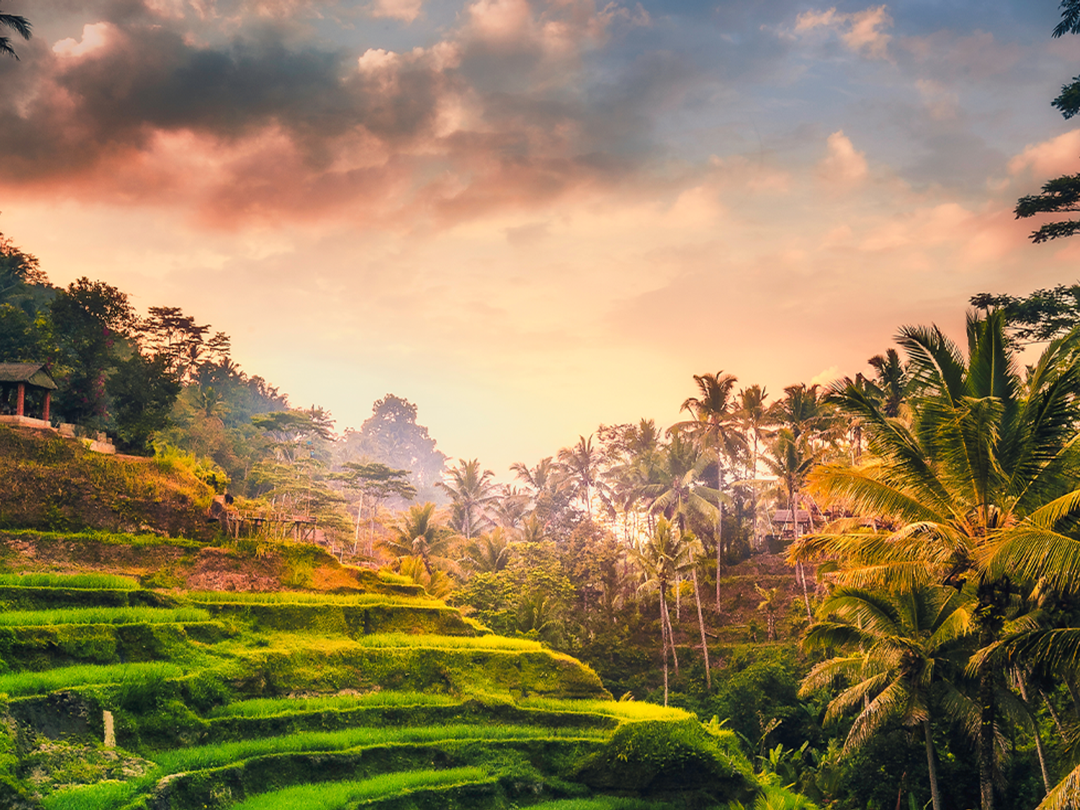 et frodig grønt tropisk landskap med en solnedgang i bakgrunnen