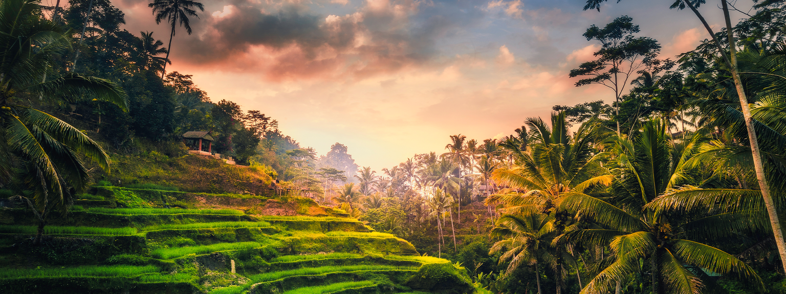 et frodig grønt tropisk landskap med en solnedgang i bakgrunnen