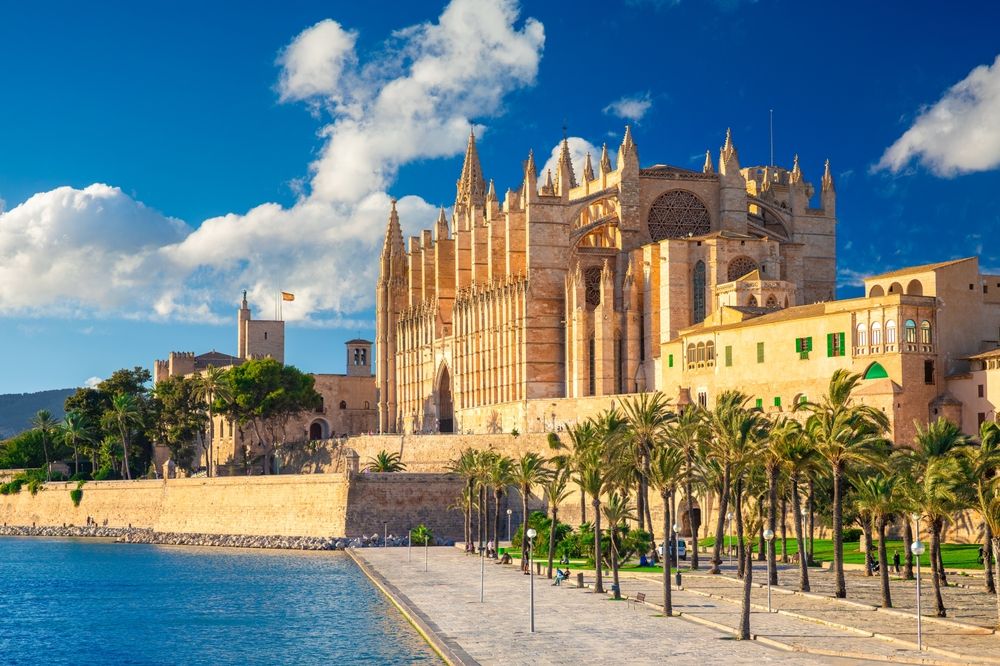 Palma katedral och en palmfodrad strandpromenad.
