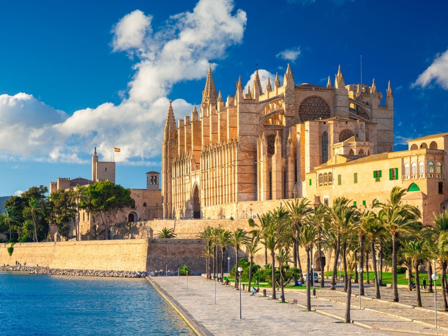 Palma katedral och en palmfodrad strandpromenad.