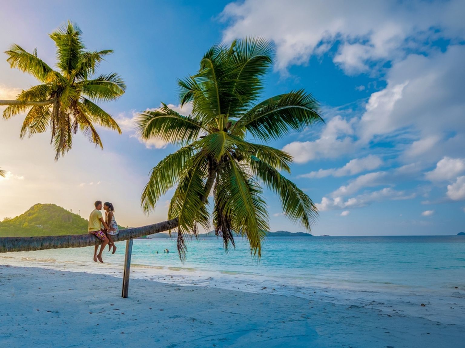 Par som sitter på en böjd palm över en vit sandstrand med turkost vatten vid solnedgången. Praslin Island, Seychellerna.