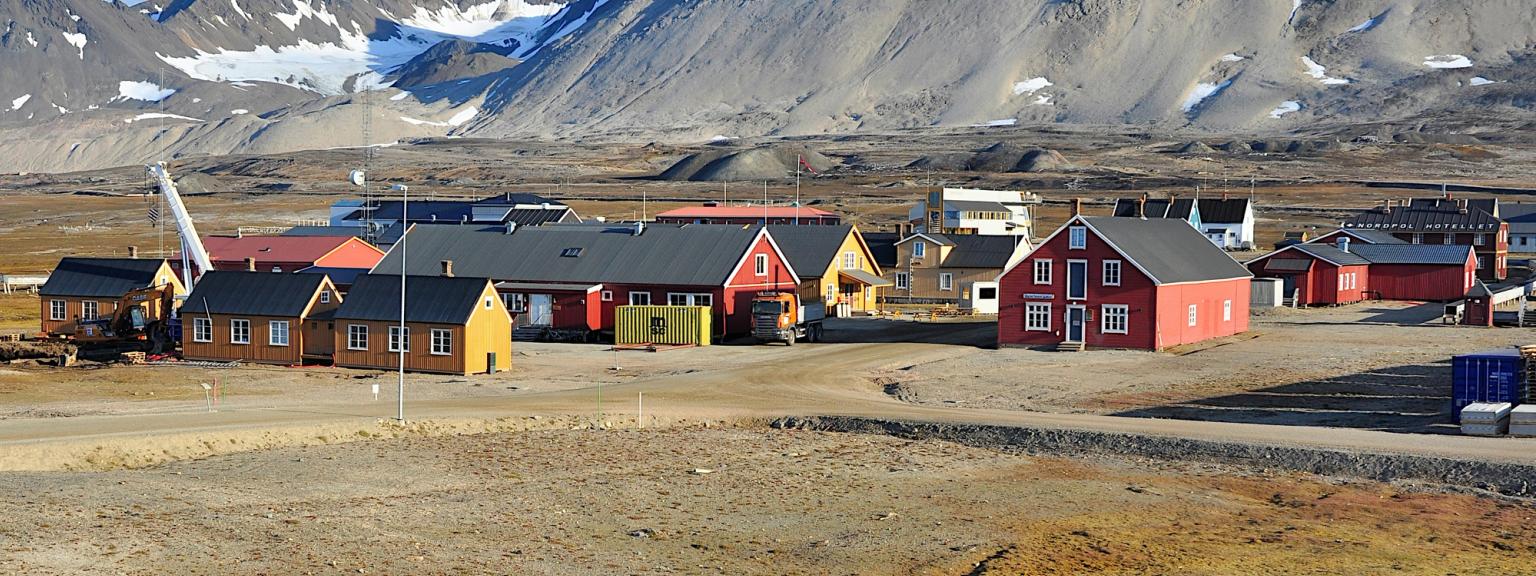 una fila de casas coloridas en medio de un campo con montañas en el fondo