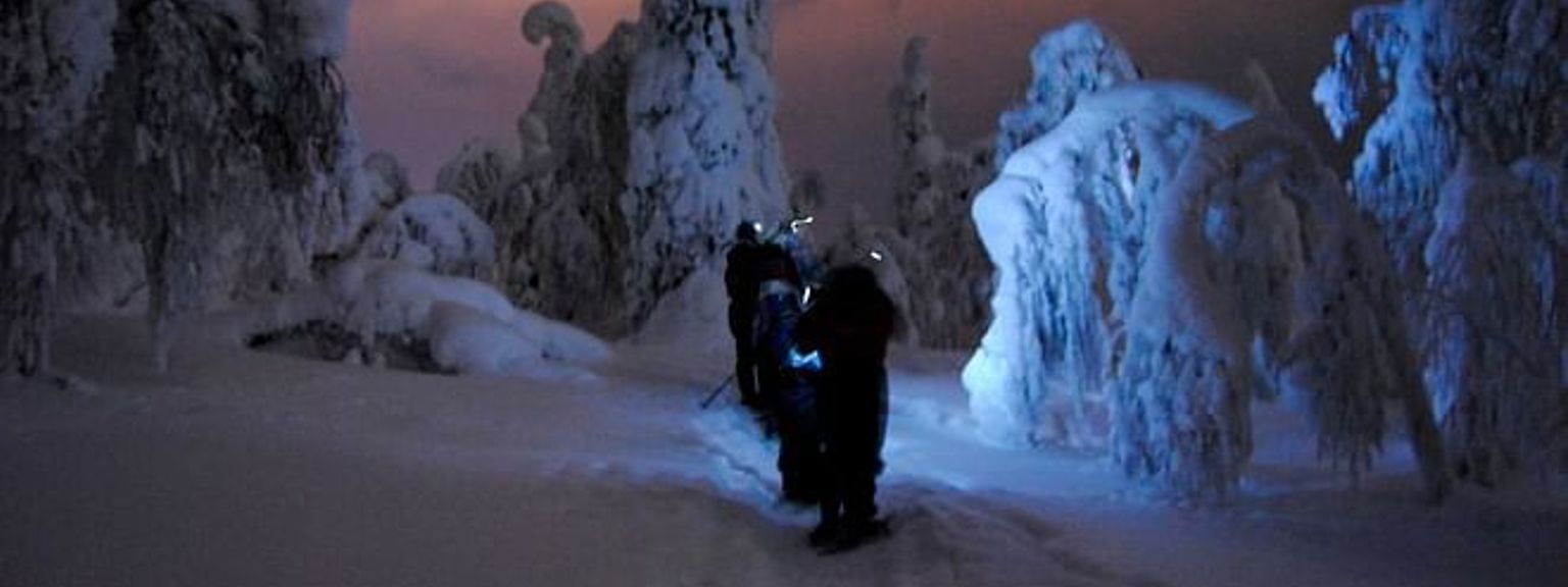 un grupo de personas está caminando por un bosque nevado por la noche