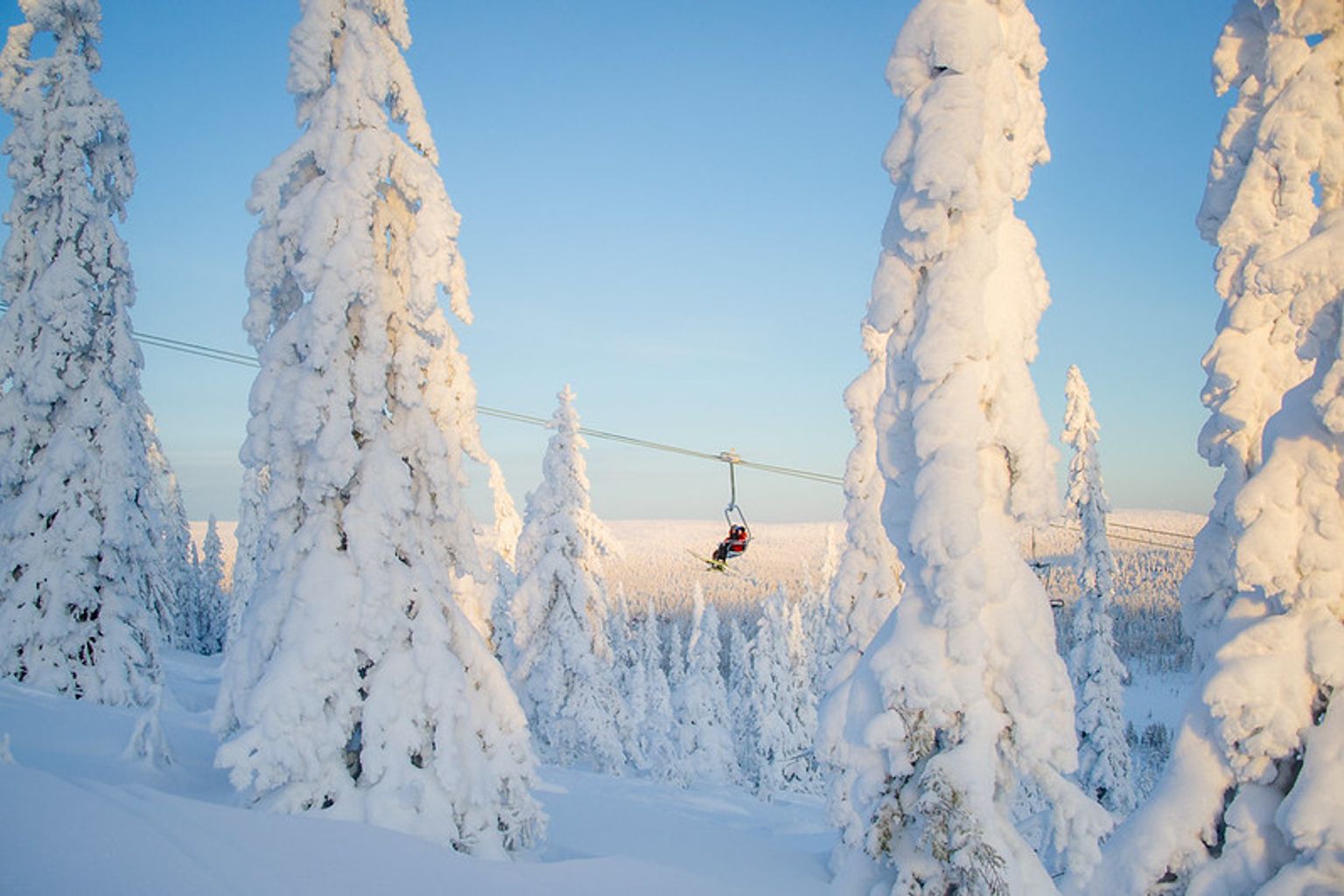En skiløber på en stolelift stiger op over en vidstrakt, sneklædt skov af rimdækkede træer under en blå himmel.