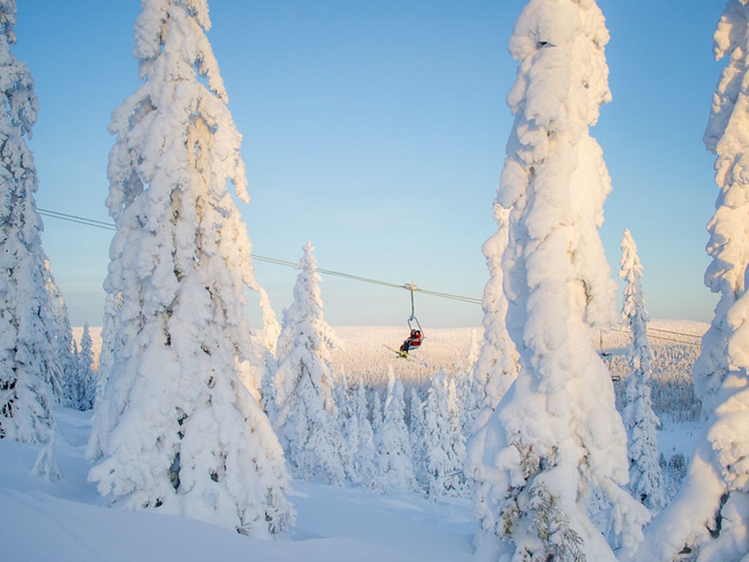 En skiløber på en stolelift stiger op over en vidstrakt, sneklædt skov af rimdækkede træer under en blå himmel.