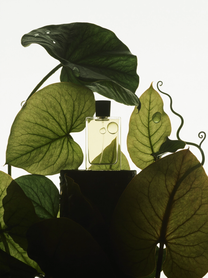 Flora