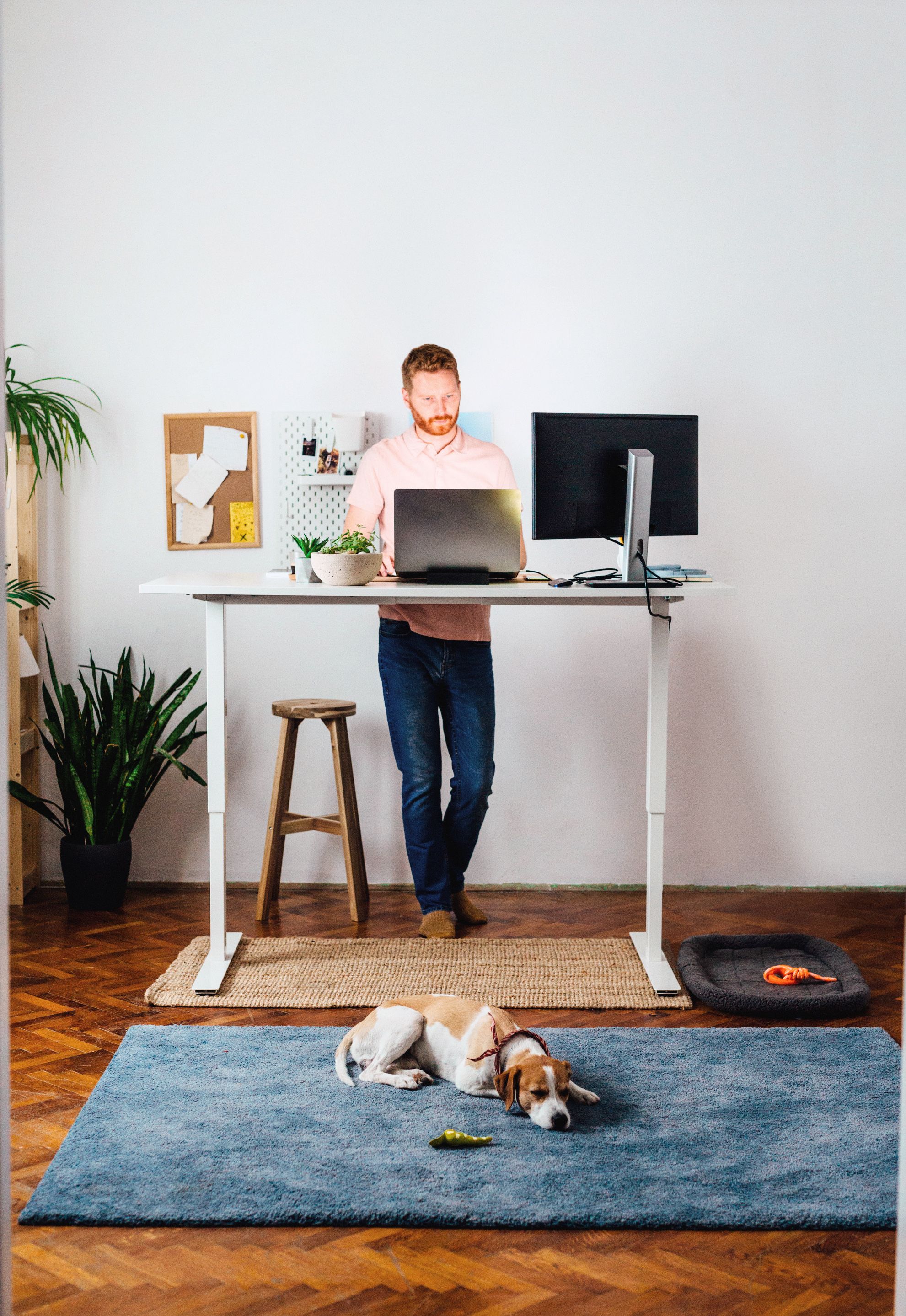 Stocksy_txp5a3f8db8wIk300_Large_3343168_retouched