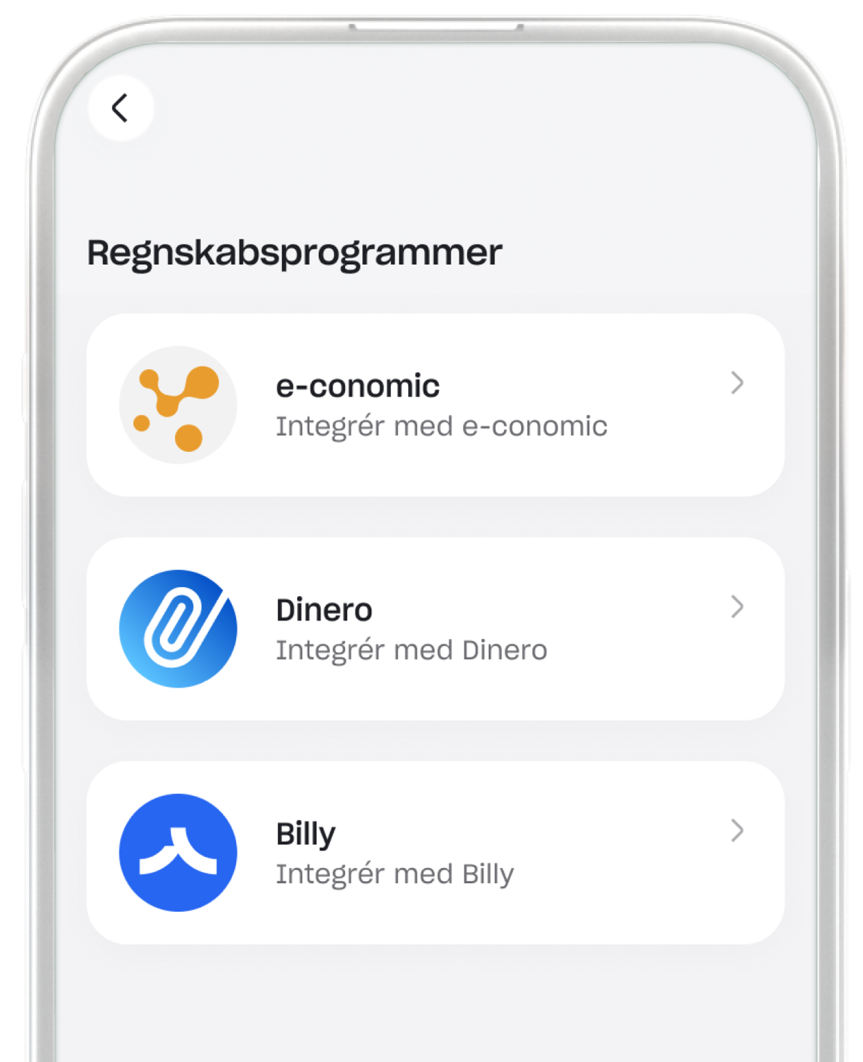 Regnskabsprogrammer skærm