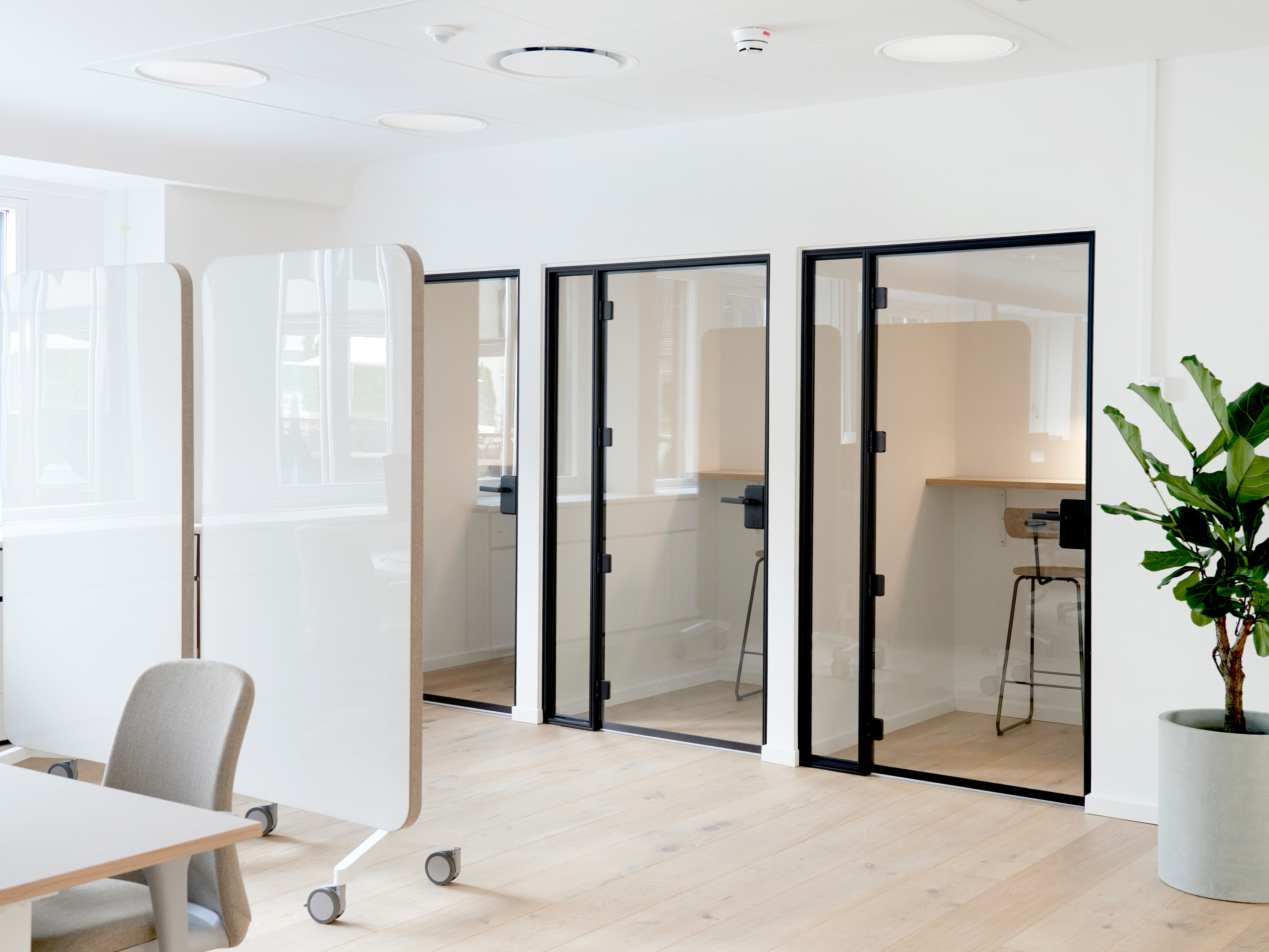 A modern office interior with a row of sleek, glass-walled phone booths for private calls.