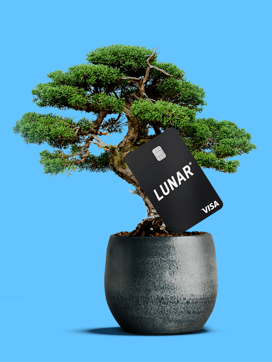 Bonsai