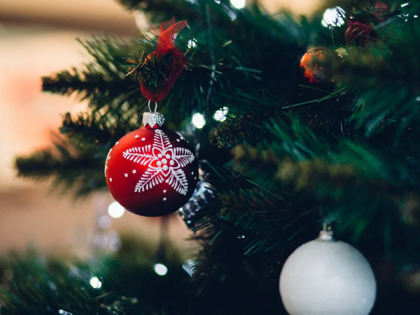 Skærmbillede 2021-11-17 kl