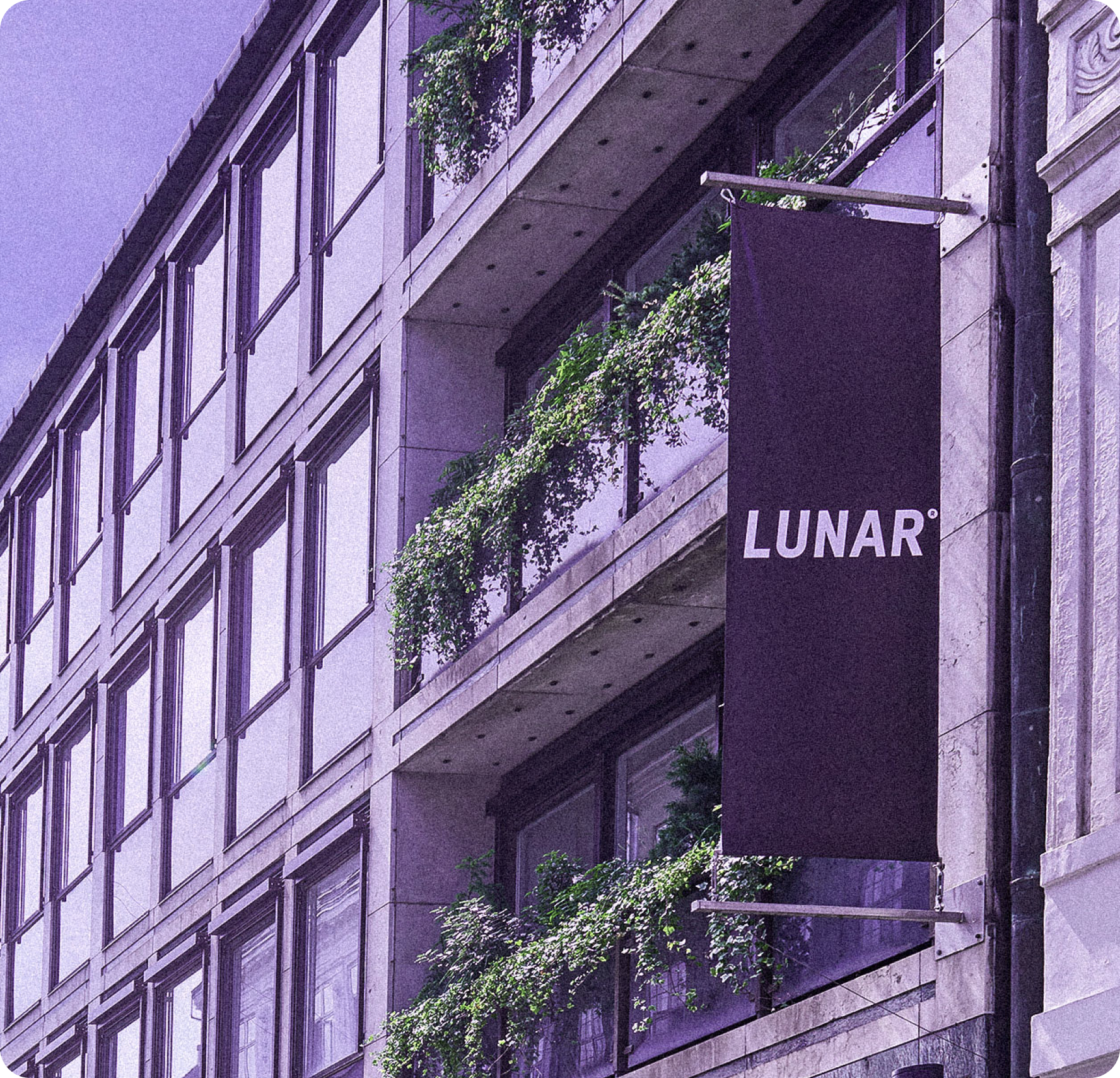 Moonrise Lunar office purple tint