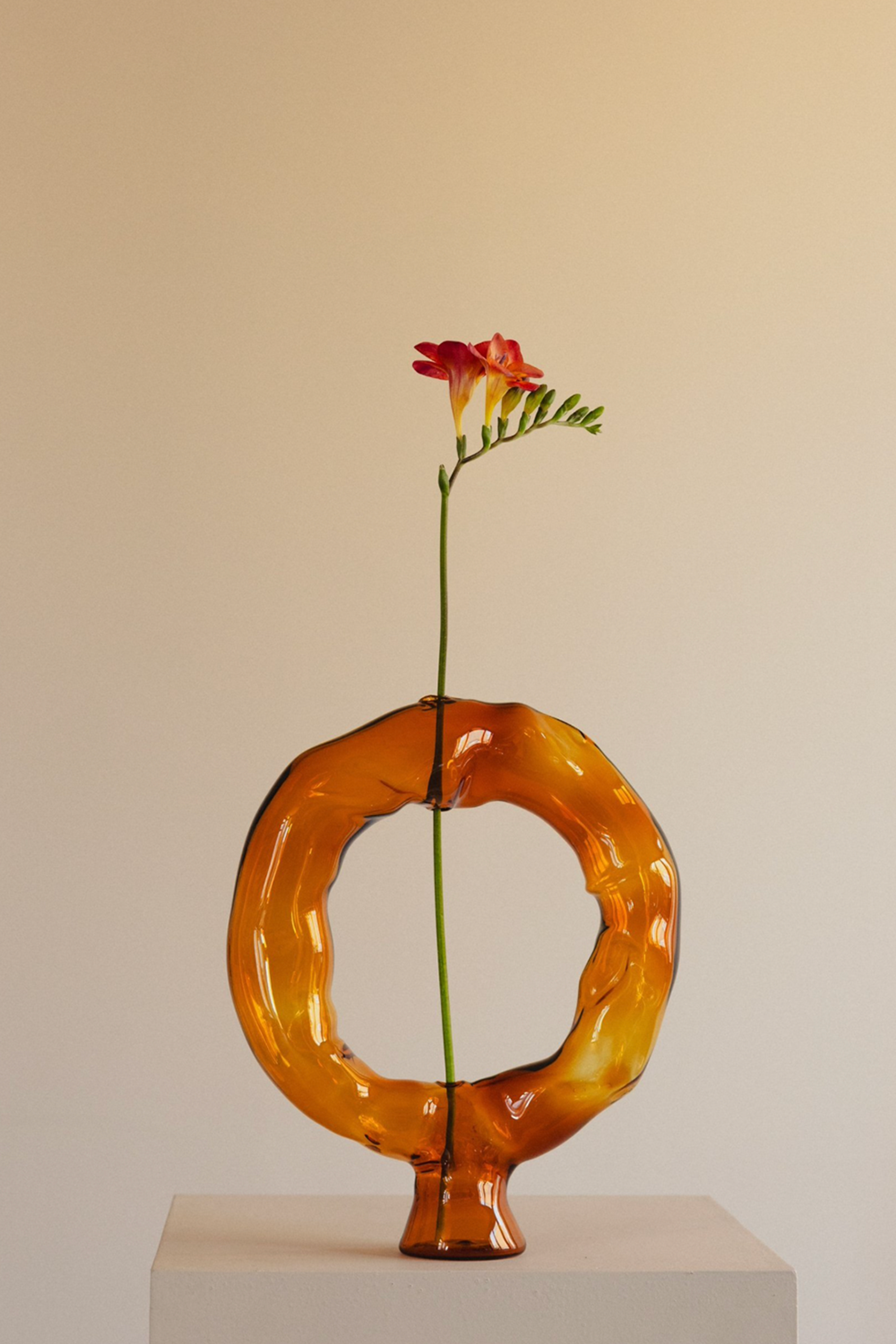 Liquid Vase Ambar by Valeria Vasi