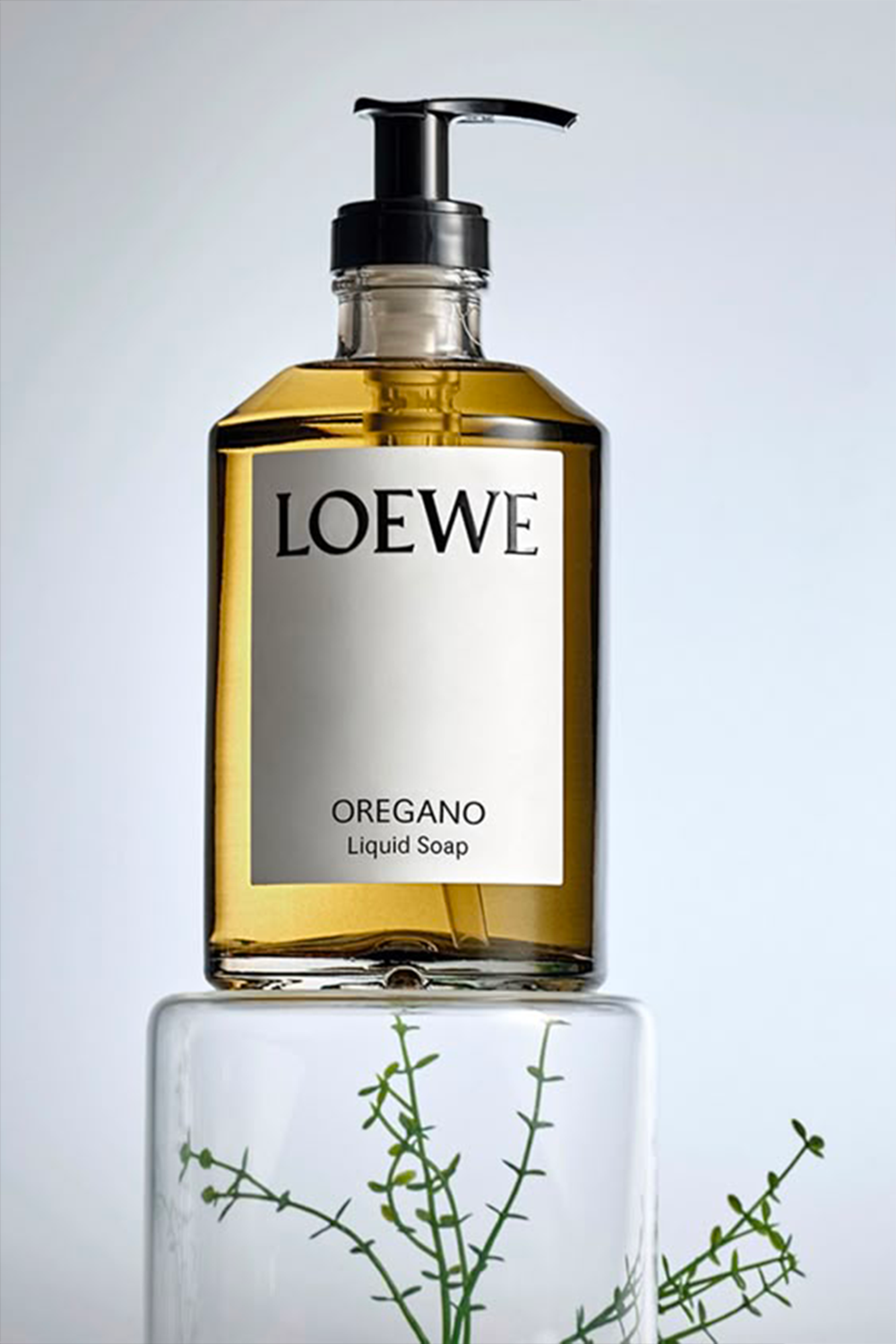 Oregano Liquid Soap by Loewe