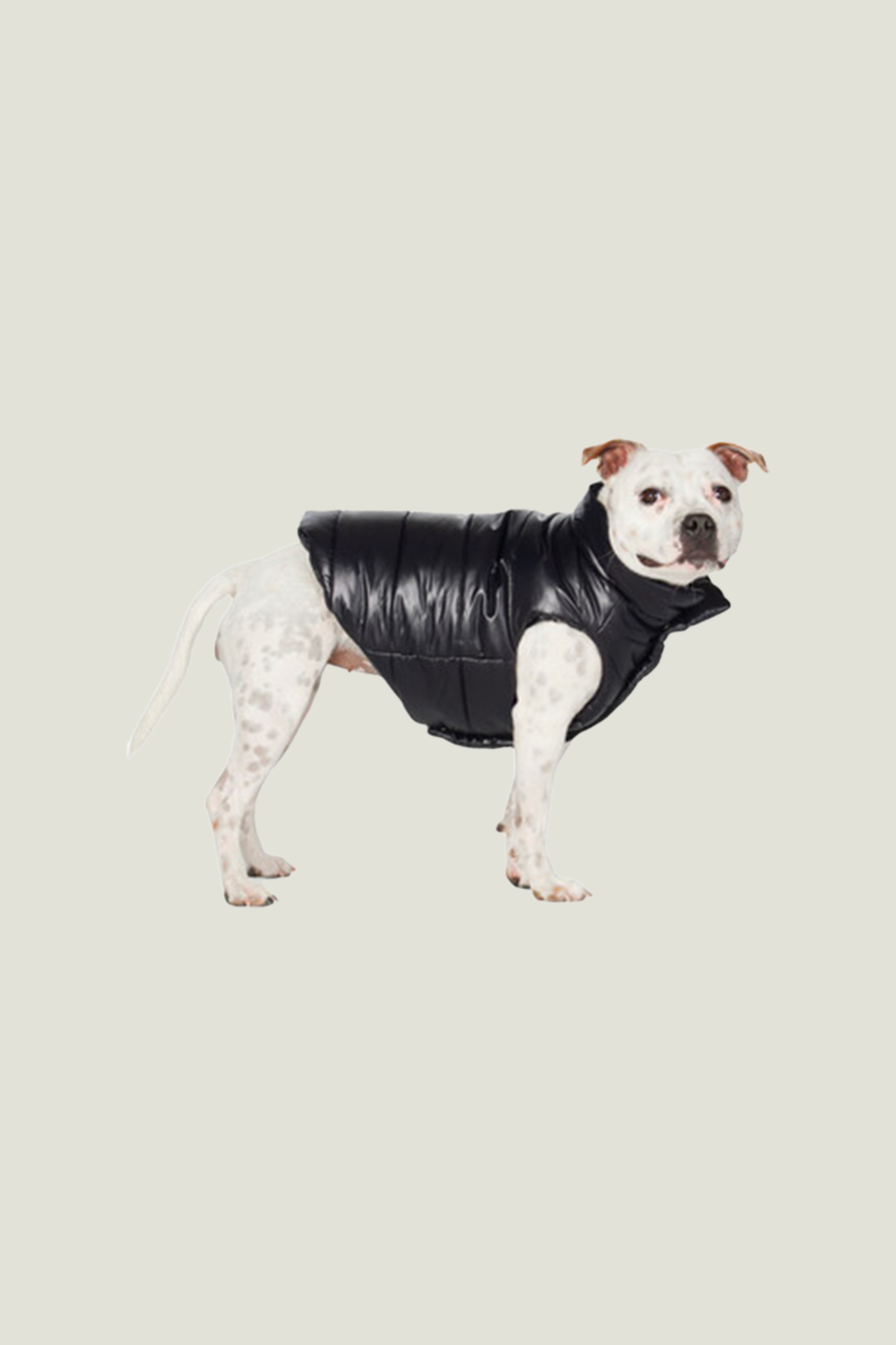 Moncler Genius Black Polo Dog Couture Edition Vest