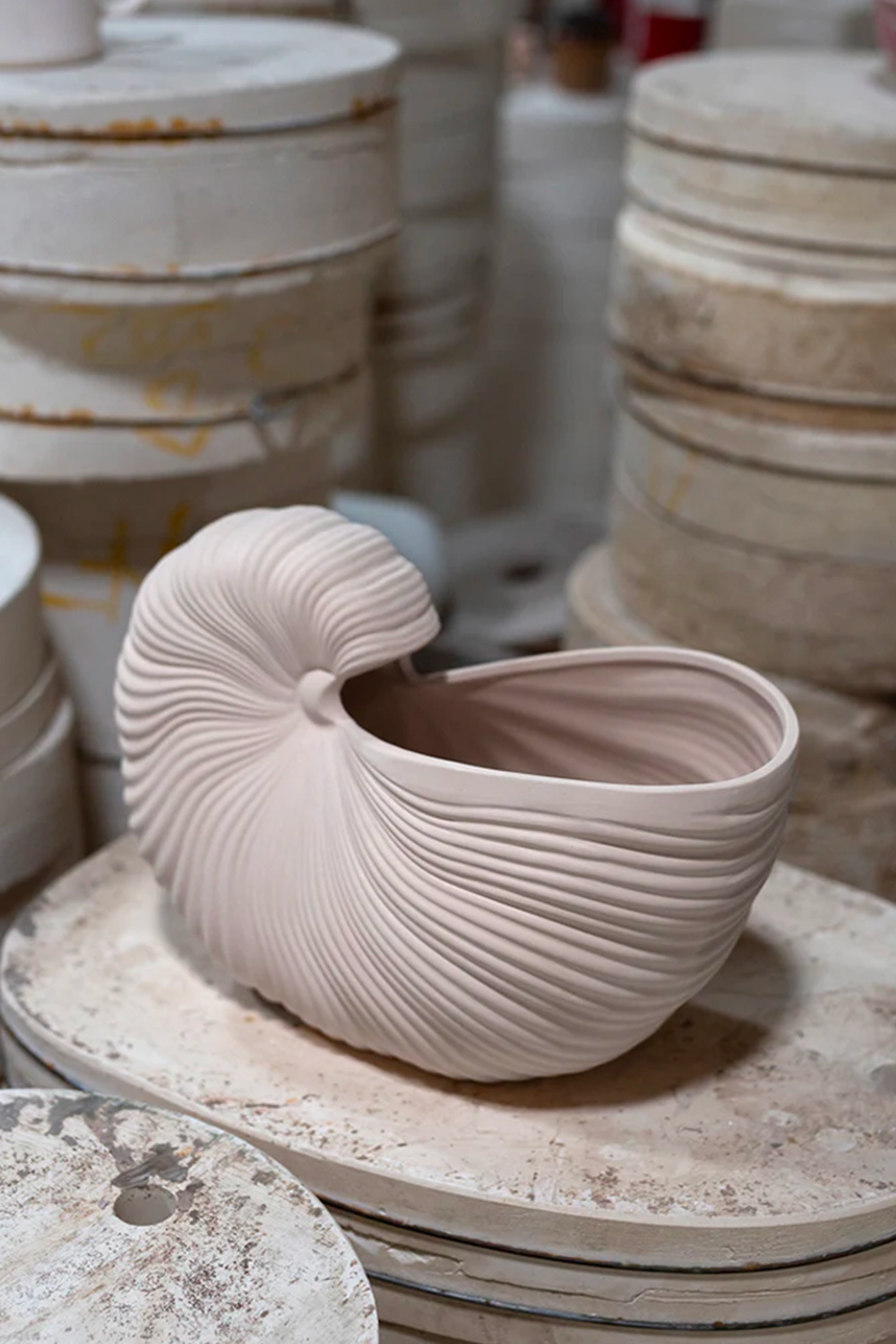 Shell Pot