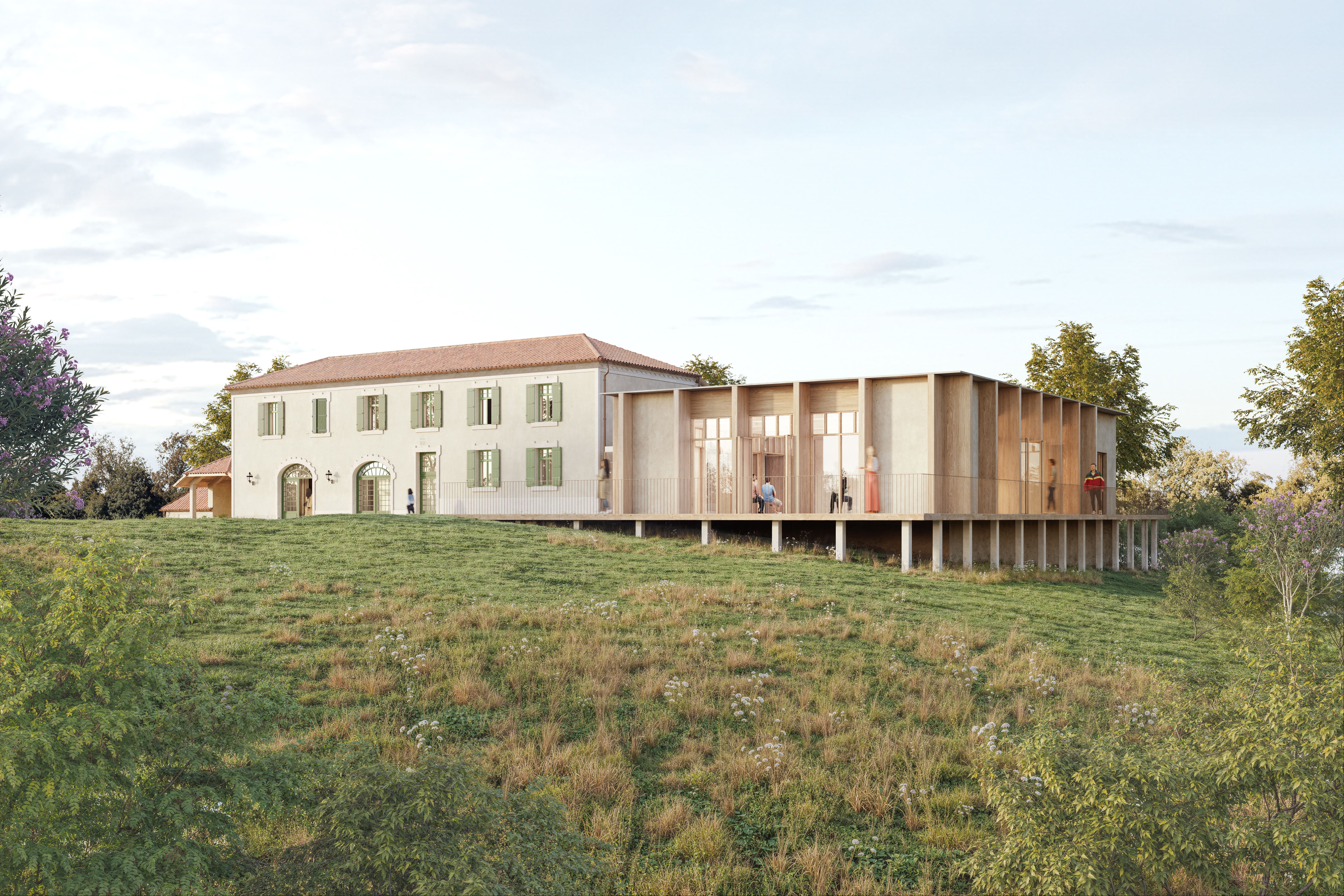 Camellia Research Institute