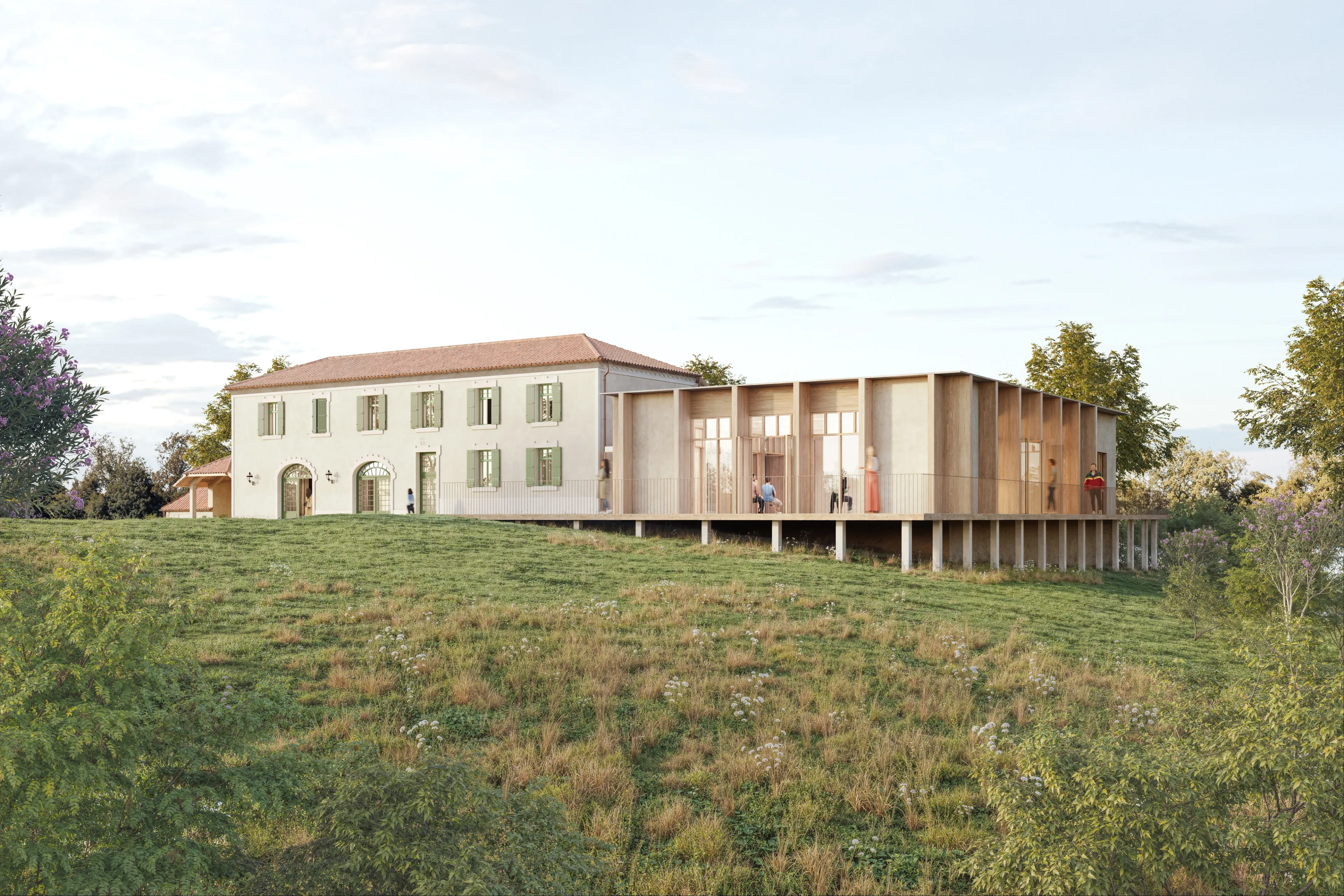 Camellia Research Institute