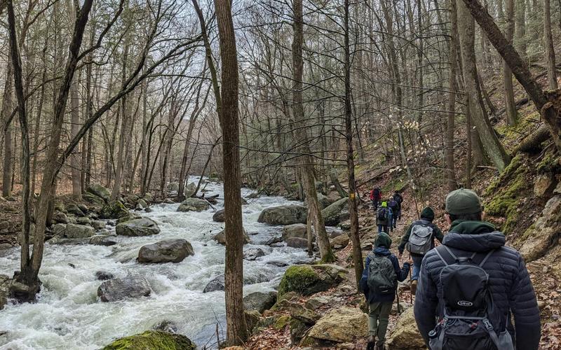 A group of hikers walk along a narrow, rocky trail beside a rushing river in a forest of tall, leafless trees on a cloudy day. Moss covers some rocks as they explore hikes near Gatlinburg and discover Smoky Mountain waterfalls.