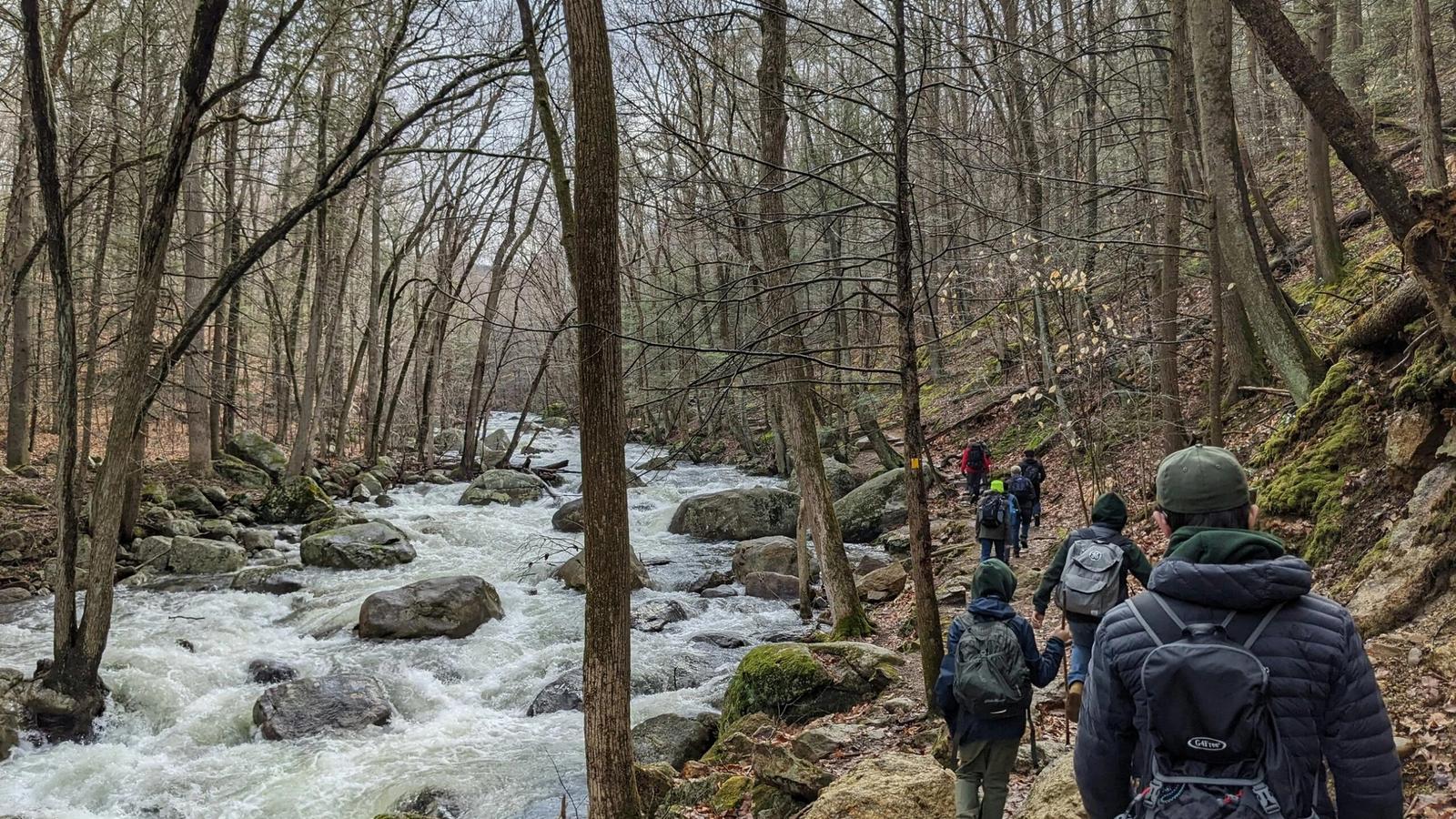 A group of hikers walk along a narrow, rocky trail beside a rushing river in a forest of tall, leafless trees on a cloudy day. Moss covers some rocks as they explore hikes near Gatlinburg and discover Smoky Mountain waterfalls.