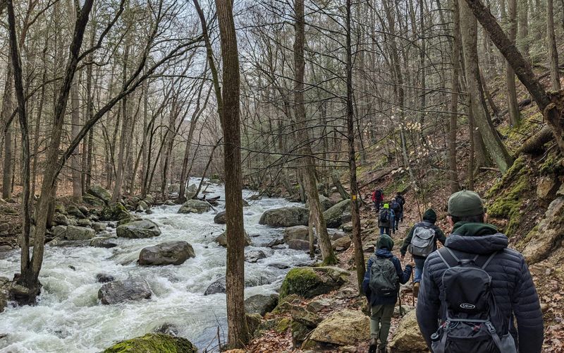 A group of hikers walk along a narrow, rocky trail beside a rushing river in a forest of tall, leafless trees on a cloudy day. Moss covers some rocks as they explore hikes near Gatlinburg and discover Smoky Mountain waterfalls.