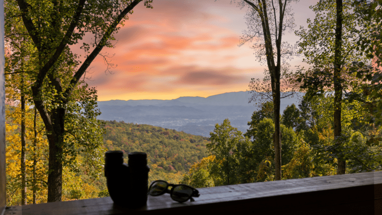 A scenic view of the Smoky Mountains and a colorful sunset sky, seen through tall trees. On a wooden ledge in the foreground are a pair of binoculars and sunglasses, perfect for relaxing after corporate retreats or enjoying local lodging.