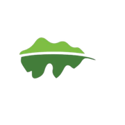 Visit My Smokies Logo Only