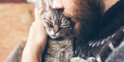 How to Find and Test a Pet Psychic
