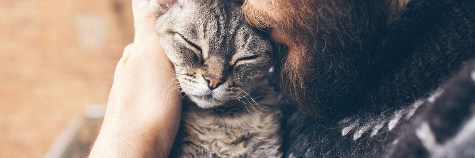 How to Find and Test a Pet Psychic