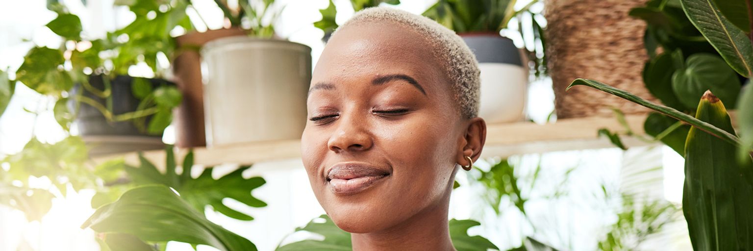 Mindfulness for Beginners