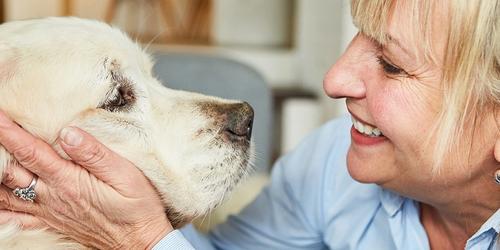 Common Questions About Pet Psychic Readings
