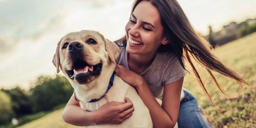 How Pet Psychics Give Readings