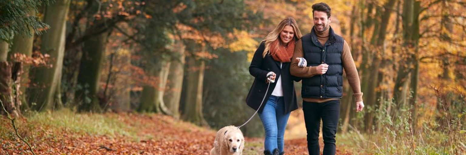 What to Look for in a Partner