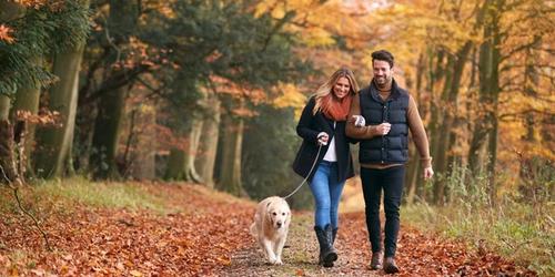 What to Look for in a Partner