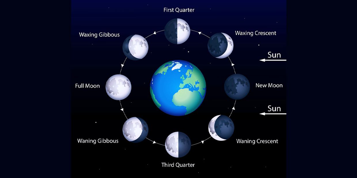 Lunar Phases / Moon Cycles