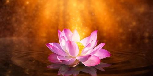 Spiritual Flowers