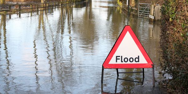 Shocking Psychic Predictions for 2025–2026 UK | Trusted Psychics