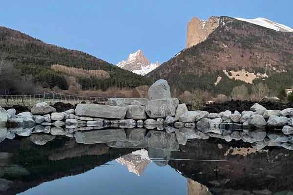 Bassin avec nénuphars et plantations aquatiques