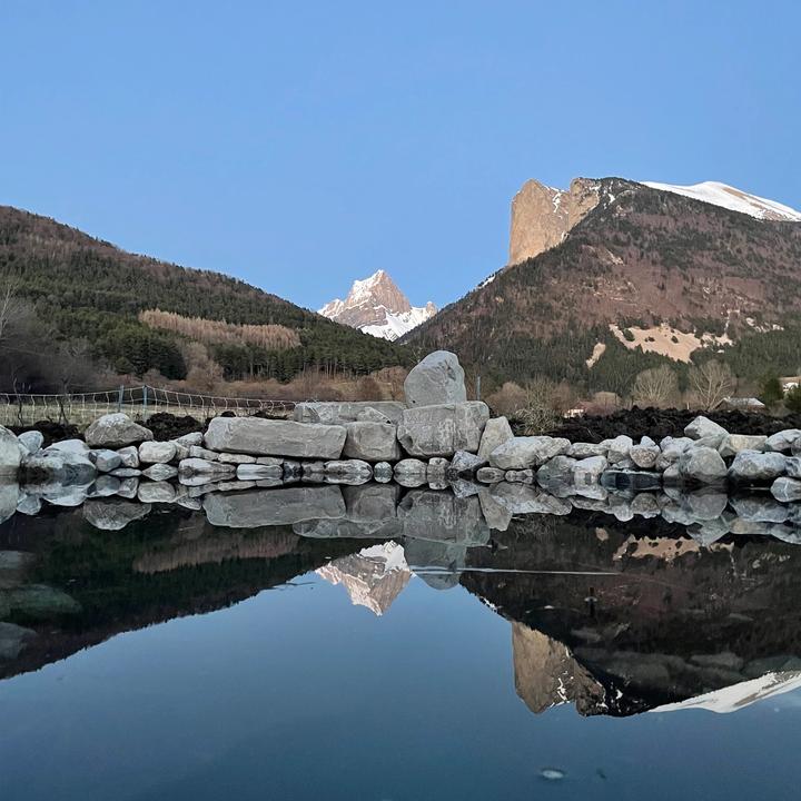 Bassin avec nénuphars et plantations aquatiques