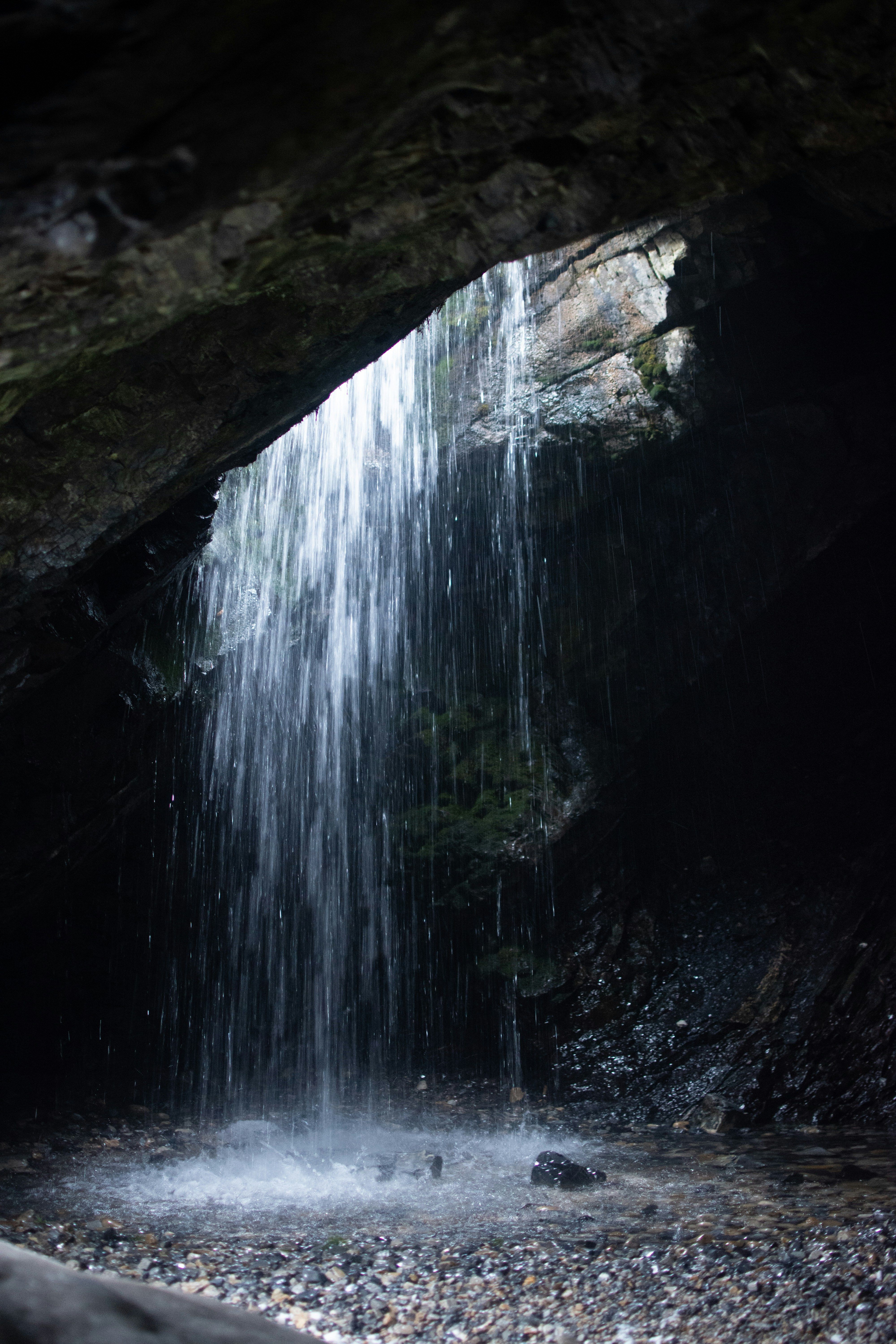 The Pitfalls of Organisational Paralysis