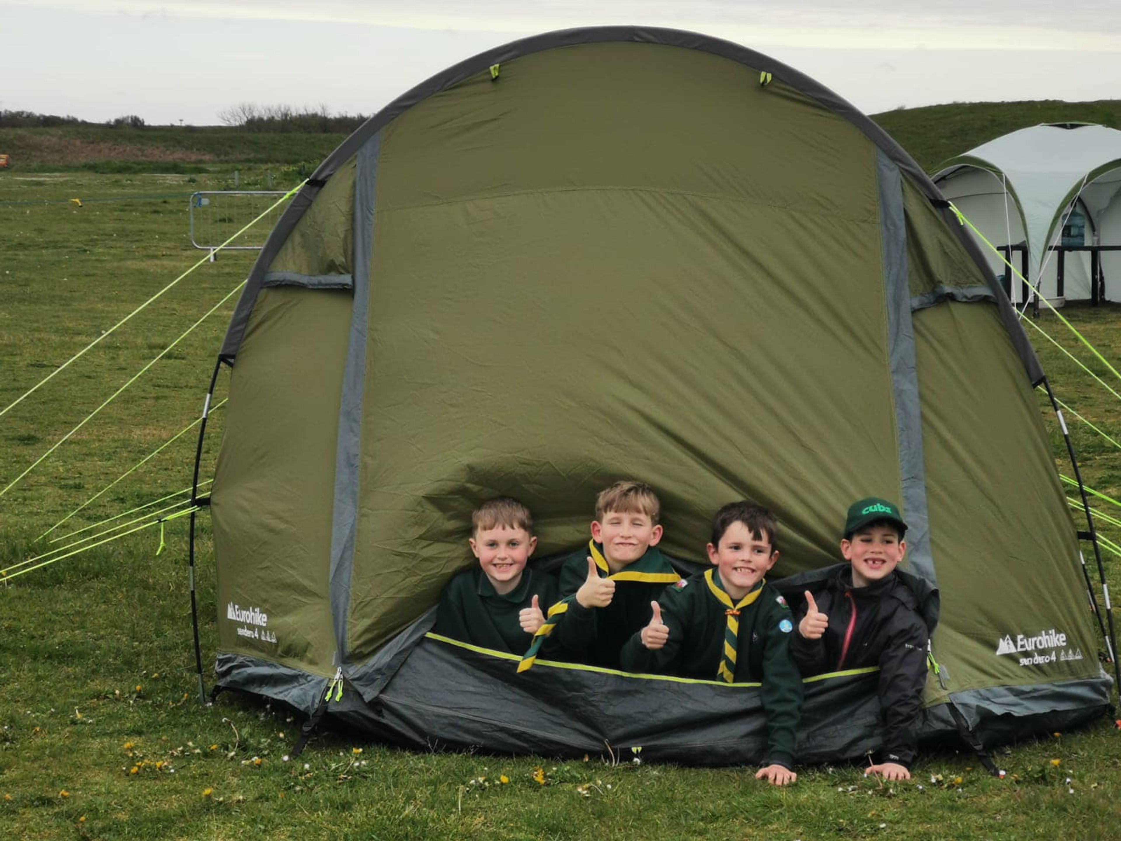 Four cubs in a tent