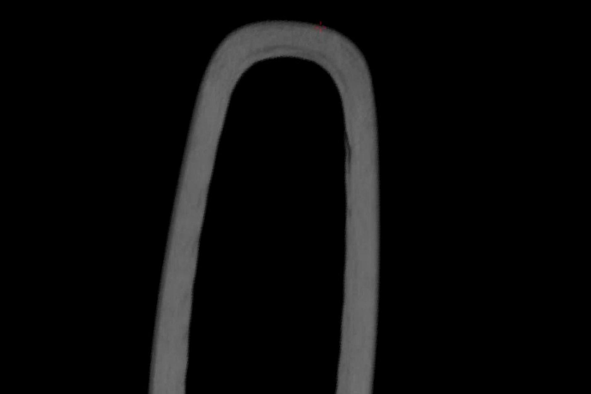 Close-up of a cyclist’s wheel silhouette against a black background.