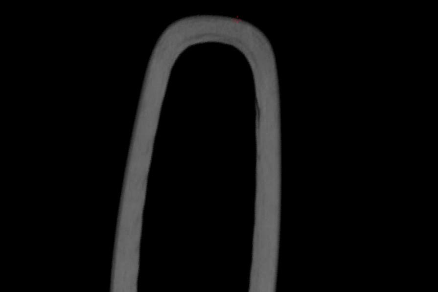 Close-up of a cyclist’s wheel silhouette against a black background.